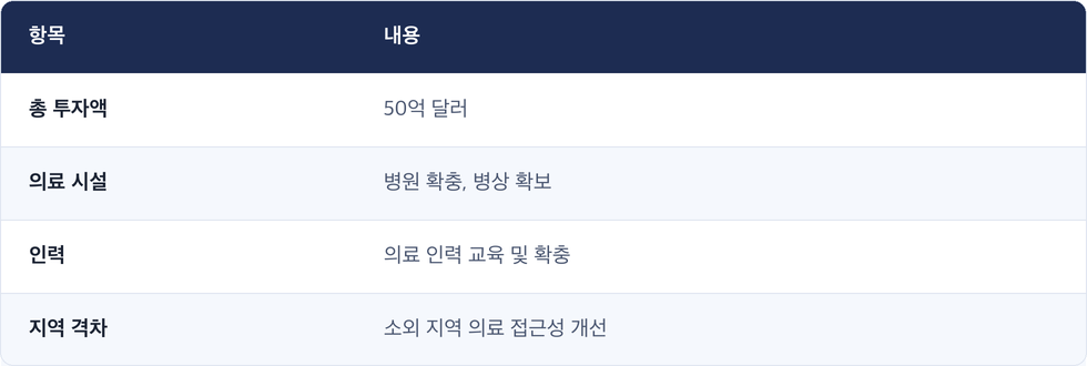 항목 · 내용 / 총 투자액 · 50억 달러 / 의료 시설 · 병원 확충, 병상 확보 / 인력 · 의료 인력 교육 및 확충 / 지역 격차 · 소외 지역 의료 접근성 개선