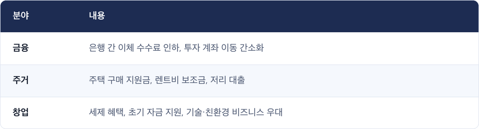 분야 · 내용 / 금융 · 은행 간 이체 수수료 인하, 투자 계좌 이동 간소화 / 주거 · 주택 구매 지원금, 렌트비 보조금, 저리 대출 / 창업 · 세제 혜택, 초기 자금 지원, 기술·친환경 비즈니스 우대