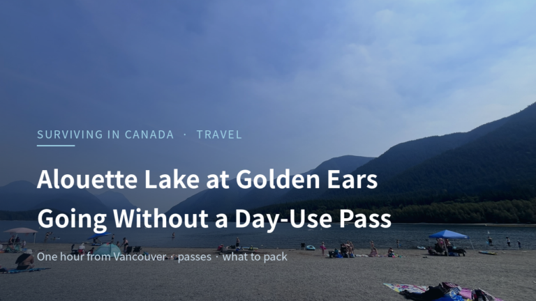 Alouette Lake beach with the Golden Ears ridges behind