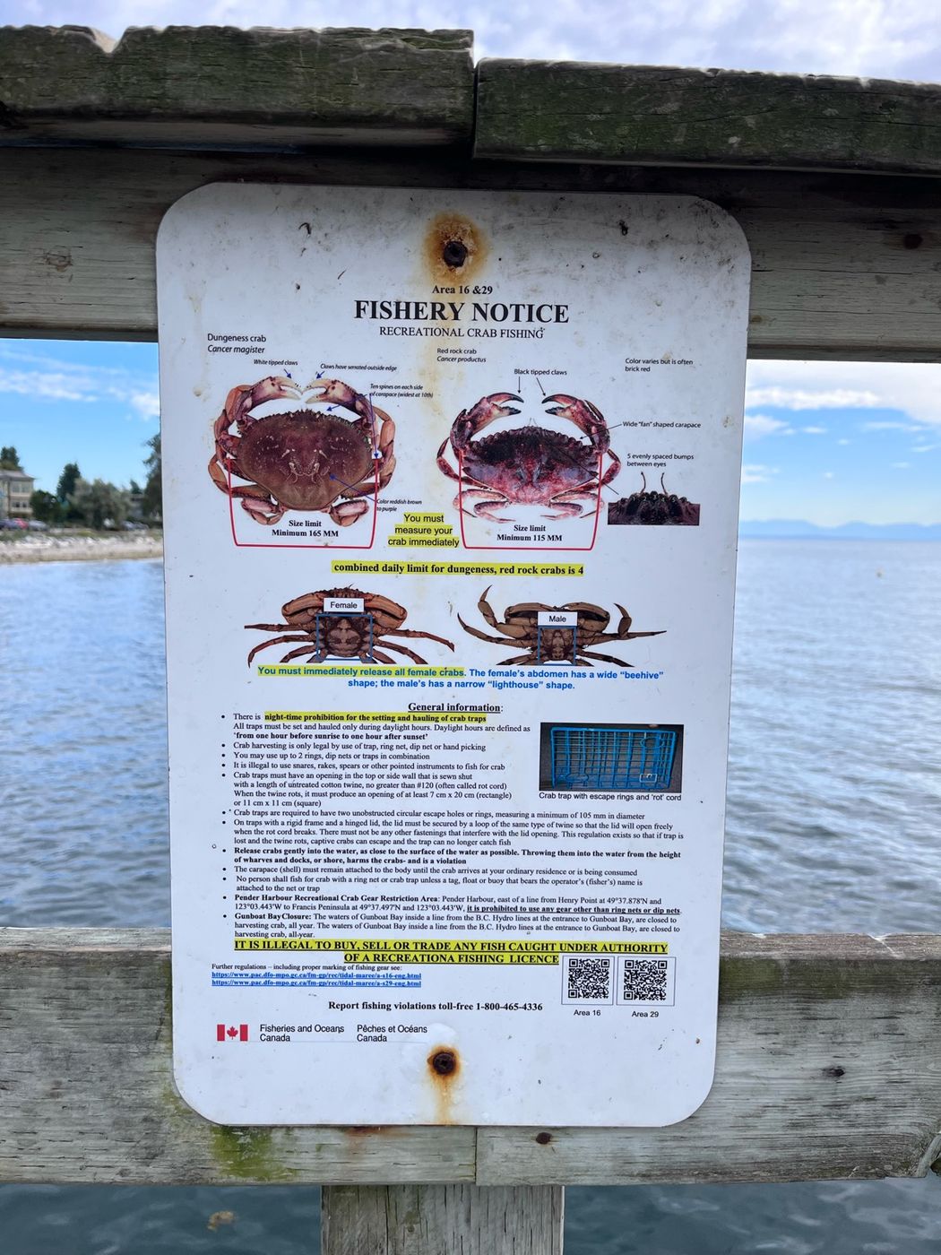 피어에 붙은 게잡이 규정 안내판 FISHERY NOTICE