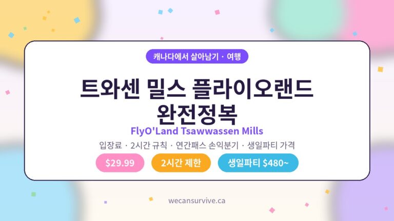 트와센 밀스 플라이오랜드 완전정복 — 입장료·2시간 규칙·연간패스 손익분기·생일파티 가격 안내 커버